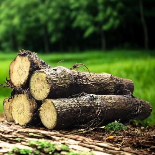 দেশি ডাল চুইঝাল